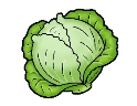 Cabbage illustration #illustration #cabbage | Vegetable cartoon, Vegetable  pictures, Art drawings for kids